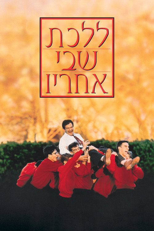 ללכת שבי אחריו